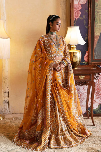 UD-23 Hayat Wedding