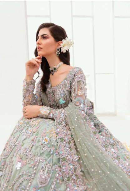 UD-31 Ahmad Sultan - Orchid